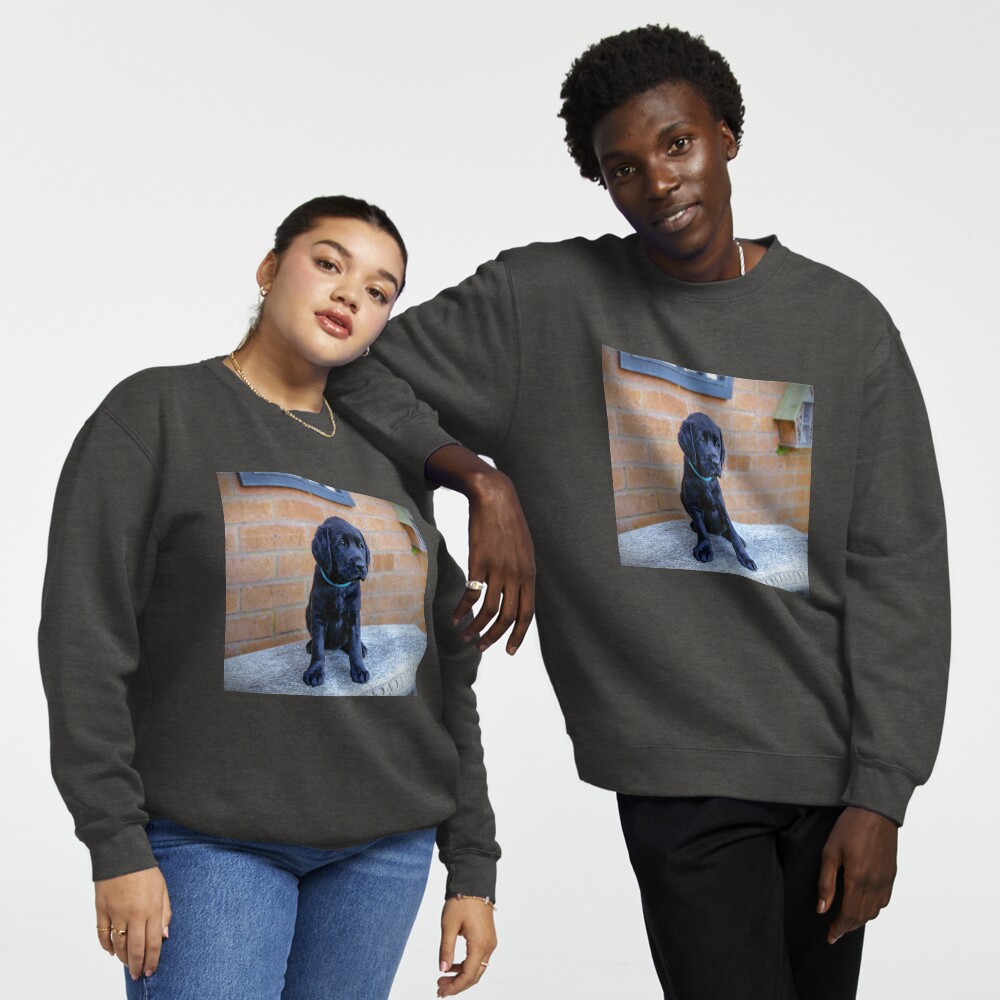 Item preview, Pullover Sweatshirt designed and sold by ScenicViewPics.