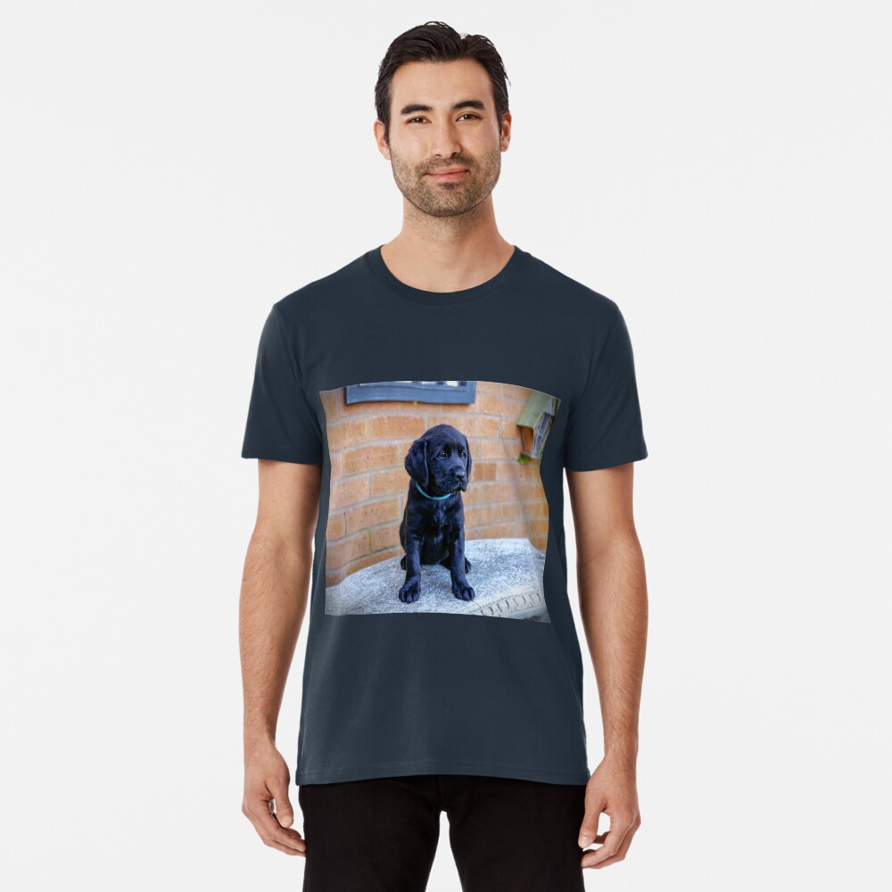 Item preview, Premium T-Shirt designed and sold by ScenicViewPics.