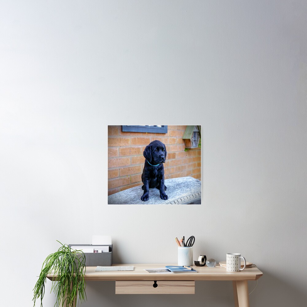 Item preview, Poster designed and sold by ScenicViewPics.