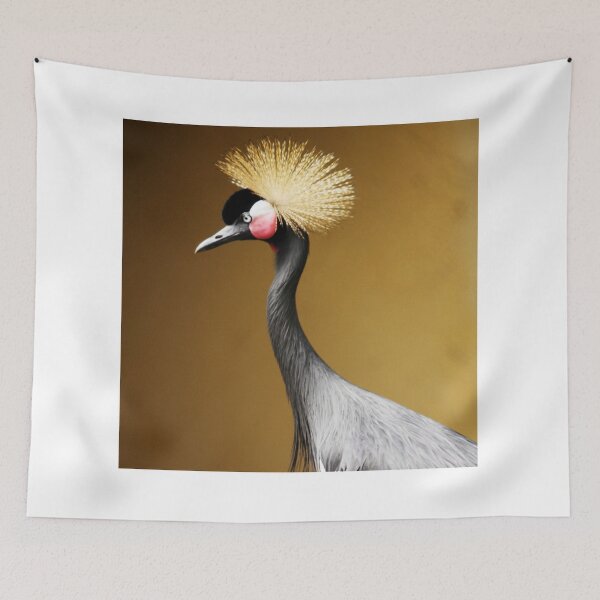 Item preview, African Photos Canvas Ideas - Black Crowned Crane. designed and sold by Sunnyhova.