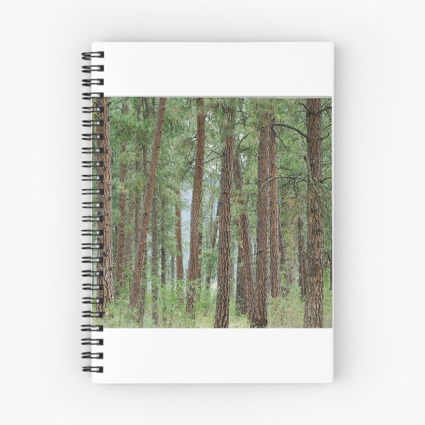 Item preview, Trees of Kettle Falls designed and sold by Troy Stapek.
