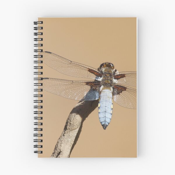Item preview, Broad-bodied Chaser designed and sold by Alan Gregg.