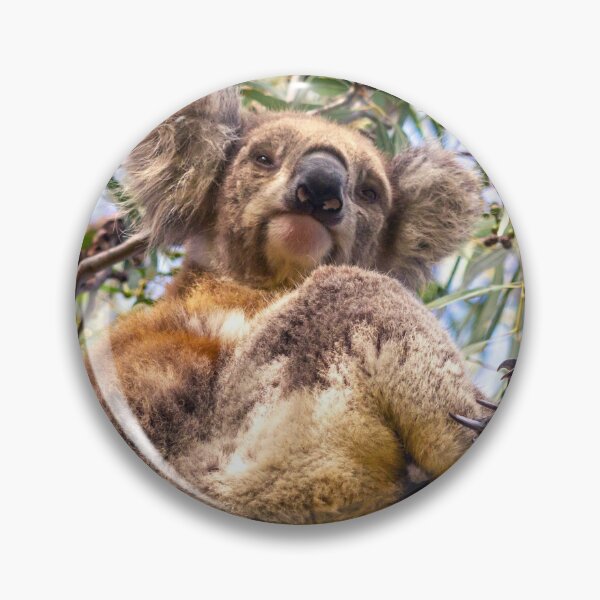 Item preview, Koala in Gum designed and sold by WendyJC.
