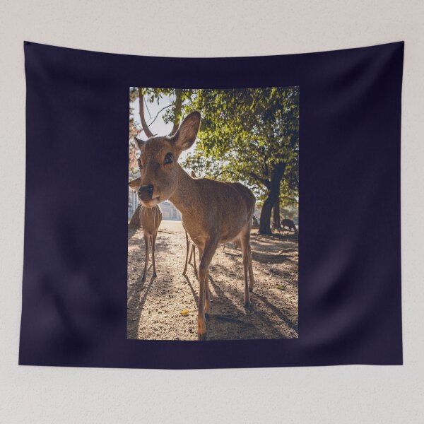 Item preview, Kind designed and sold by 7AJA.