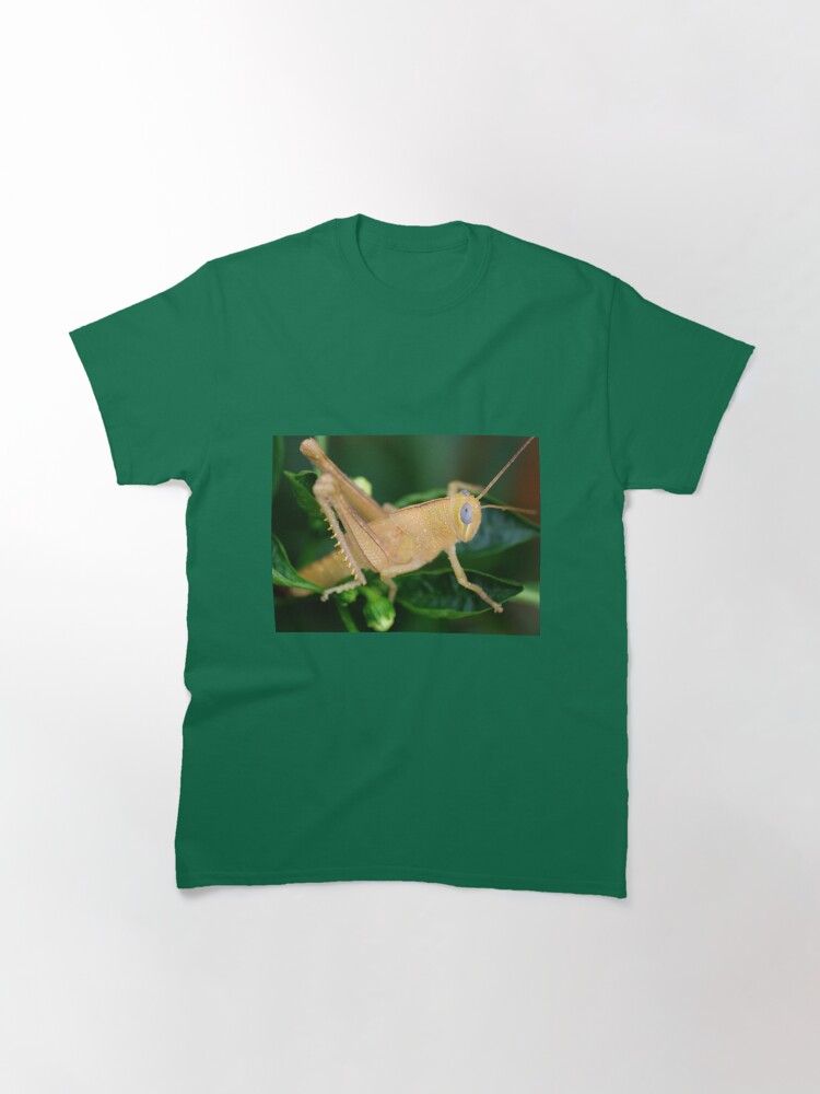 "Jiminy Cricket" Tshirt by BigAndRed Redbubble