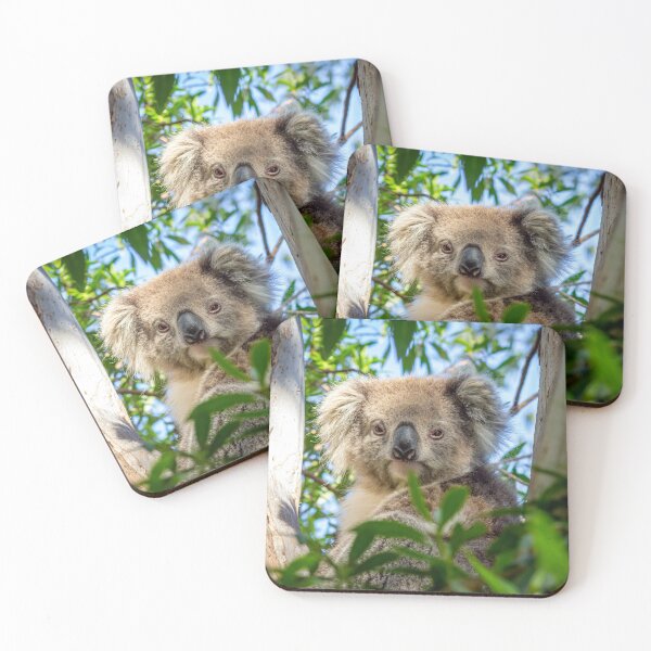 Item preview, Cute Koala designed and sold by WendyJC.
