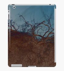 armor iPad Case/Skin