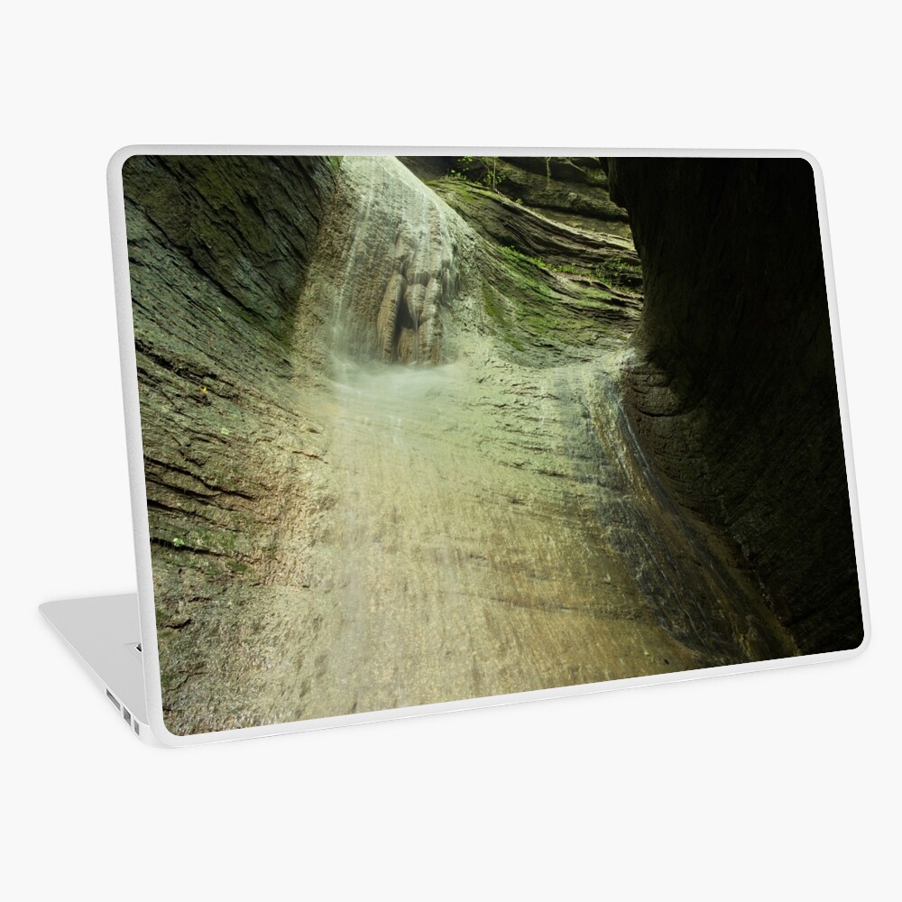 Item preview, Laptop Skin designed and sold by patmo.