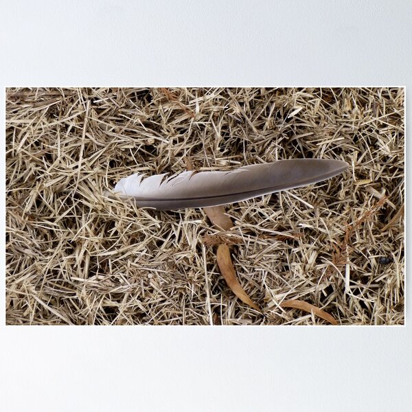 Item preview, Feather designed and sold by WildestArt.