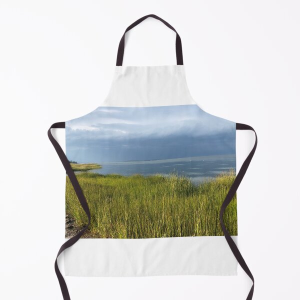 Item preview, Salt marsh with storm a'comin! designed and sold by Wandas-World.