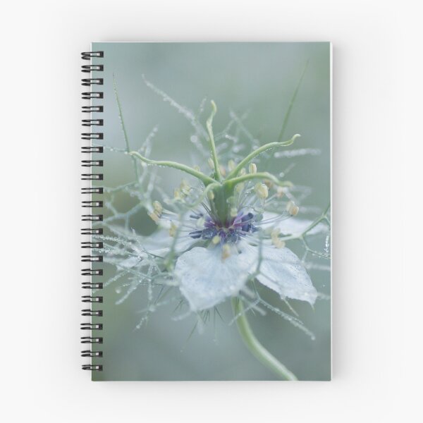 Item preview, Nigella designed and sold by Alan Gregg.