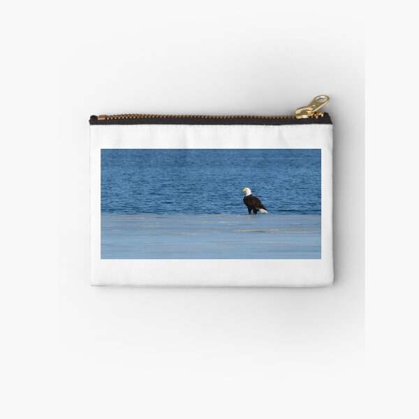 Item preview, Bald Eagle At Lake Farmington designed and sold by Jaime Miller.