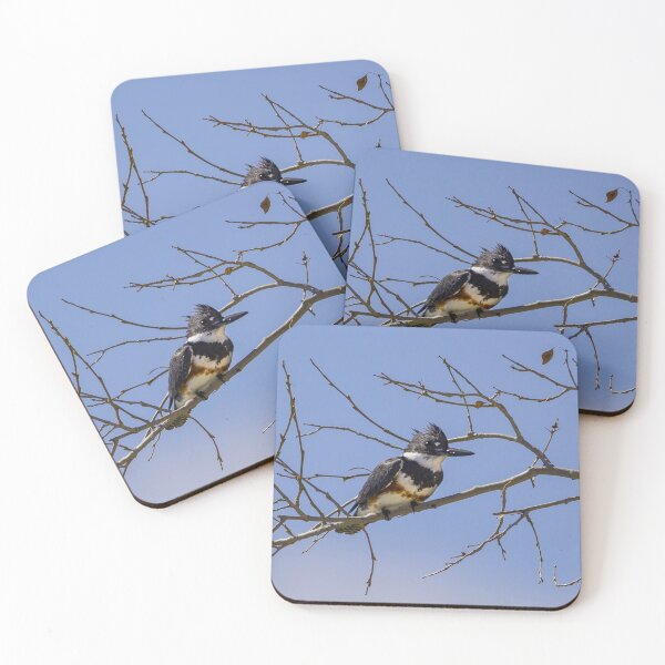 Item preview, Belted Kingfisher designed and sold by Jaime Miller.