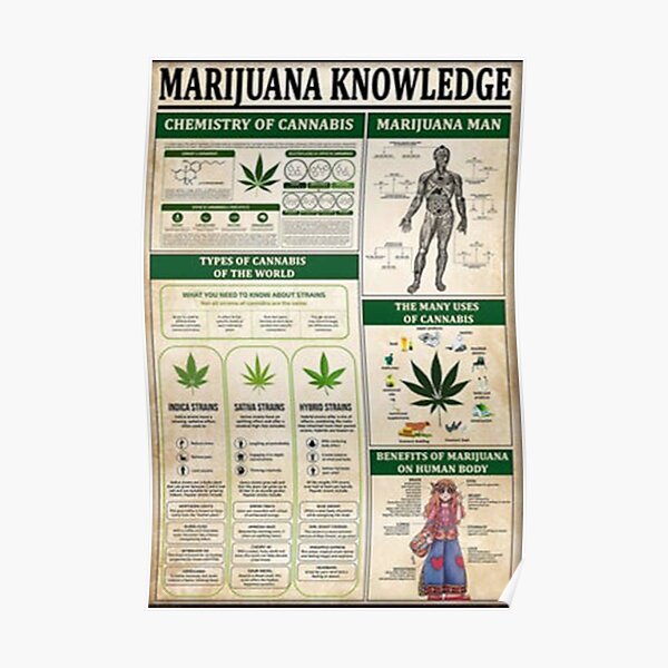Marijuana Knowledge Poster Hippie Chemistry of Cannabis Poster
