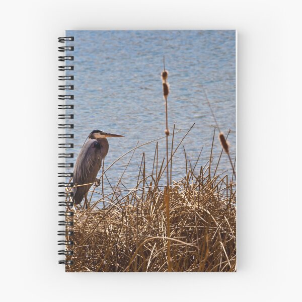 Item preview, Blue Heron Among The Reeds designed and sold by Jaime Miller.