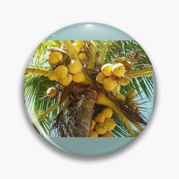 Item preview, Coconuts designed and sold by Linda Bianic.