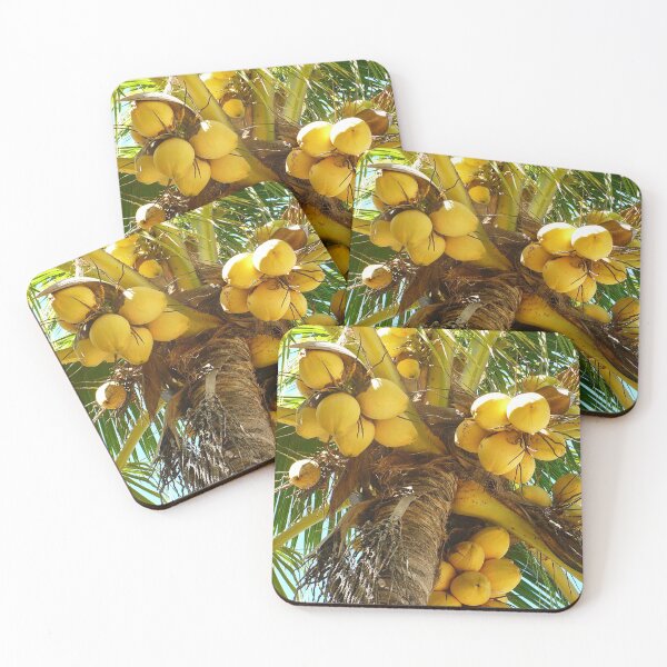 Item preview, Coconuts designed and sold by Linda Bianic.