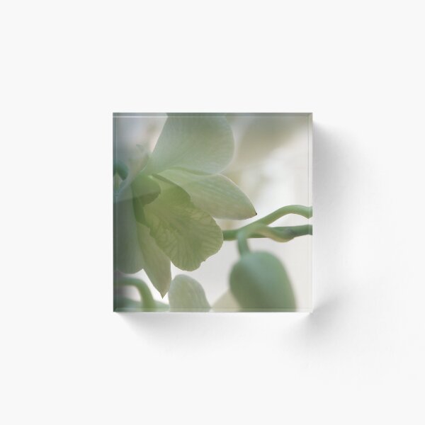 Item preview, Orquídea de Singapur designed and sold by Tiffany Dryburgh.