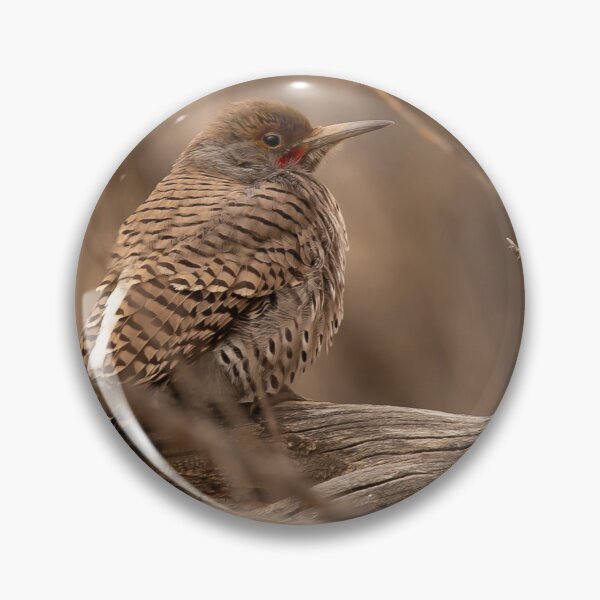 Item preview, Northern Flicker designed and sold by Jaime Miller.