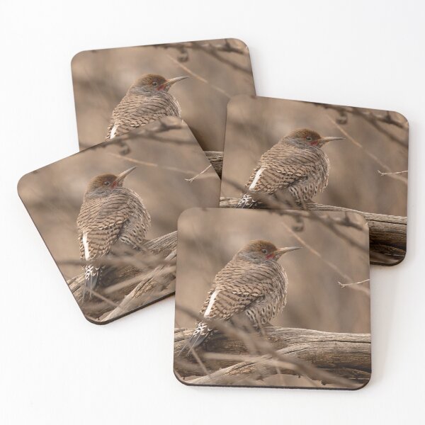 Item preview, Northern Flicker designed and sold by Jaime Miller.