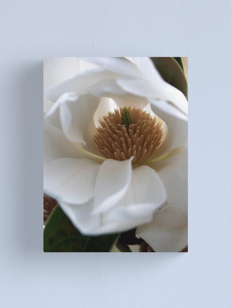 Alternate view of Evergreen Magnolia Canvas Print