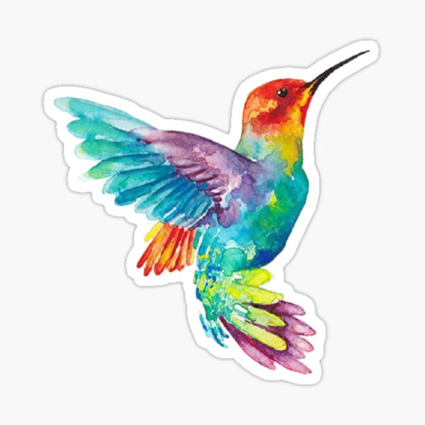 Colibri mignon Sticker