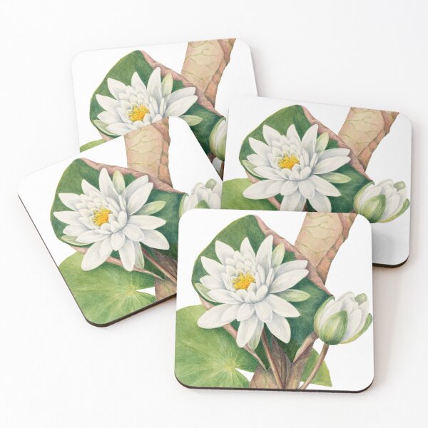 Item preview, American White Waterlily Illustration designed and sold by JoyforU.