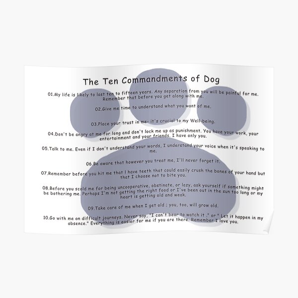 "The Ten Commandments of Dog Ownership - blue" Poster by kaedeyk