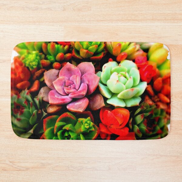 Item preview, Succulents designed and sold by doodle3Dandy.