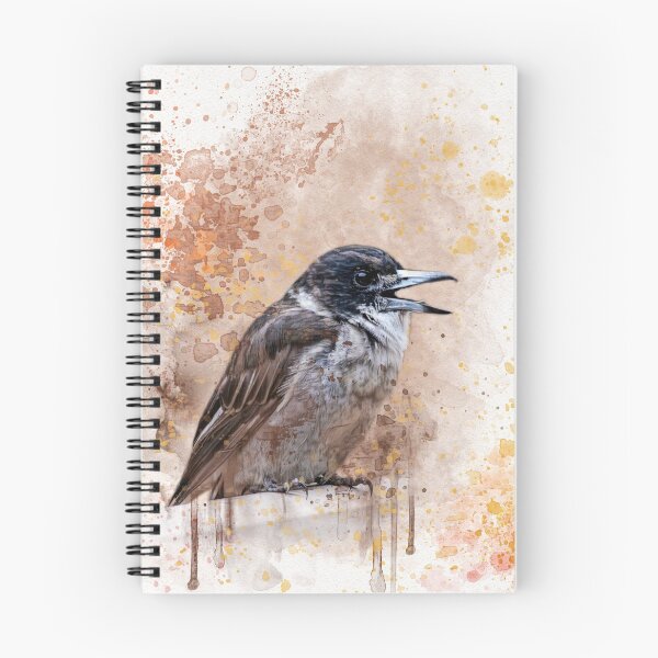 Item preview, Grey butcher bird. designed and sold by Sabvaningphotoart.