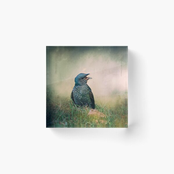 Item preview, Talkative. designed and sold by Sabvaningphotoart.