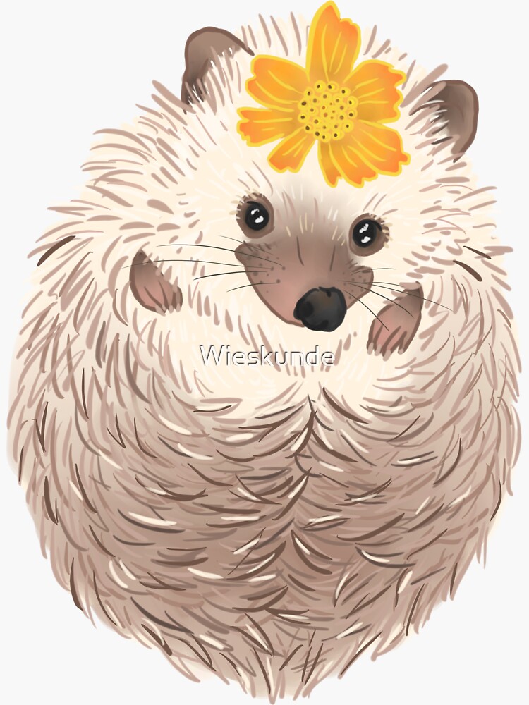 Hedgehog by Wieskunde