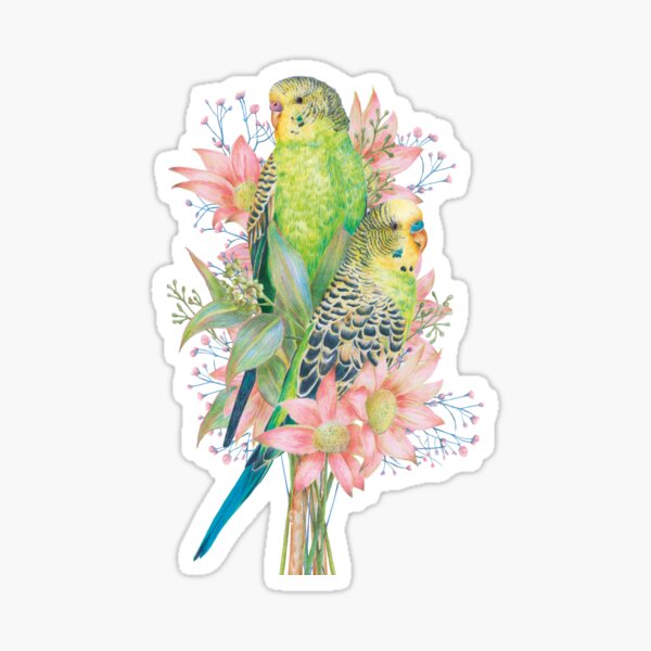 Item preview, Australian Budgerigars/Budgies || Floral Birds designed and sold by Kayla Reay.
