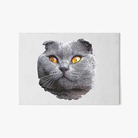 Impression rigide for Sale avec l'œuvre « Chat au volant d'une voiture -  Cadeaux drôles de chat pour les amoureux des chats » de l'artiste haRexia