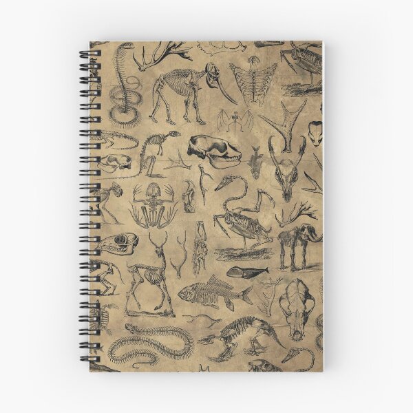 Item preview, Vintage Animal Bones Pattern - Biology Vintage Diagram Anatomy Creepy Witchy Weird Skulls and Skeletons designed and sold by BoyPilot Goods.