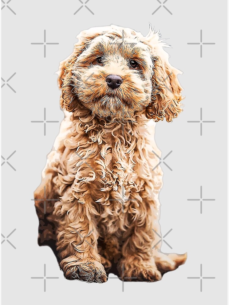 es un cavapoo o cockapoo mas grande