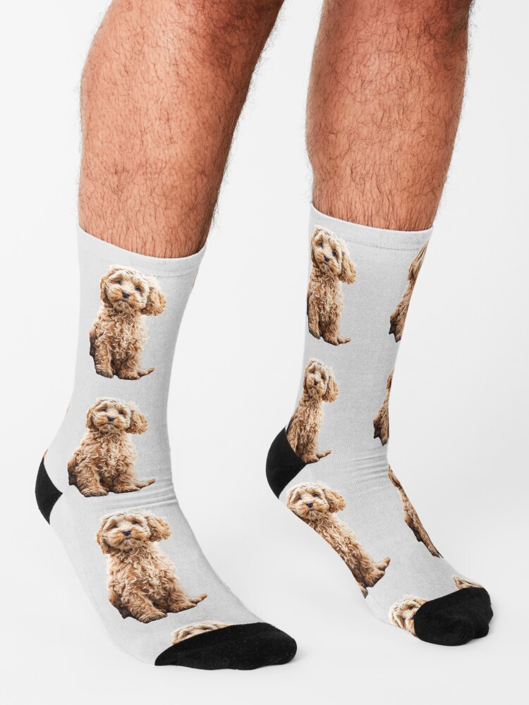 "Cockapoo Cavoodle Labradoodle Cute Puppy Dog Poodle x" Socks for Sale