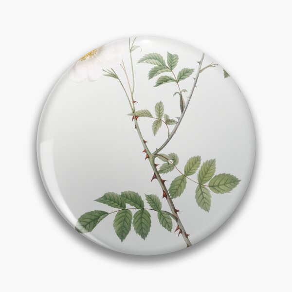 Item preview, Les Roses by Pierre-Joseph Redouté designed and sold by EsotericBotanic.