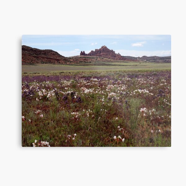 Beauty - when it's gone Metal Print
