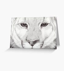 Mountain Lion Greeting Card