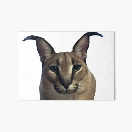 Big Floppa Funny Caracal Big Cat Meme Art Board Print for Sale by  dinnashop