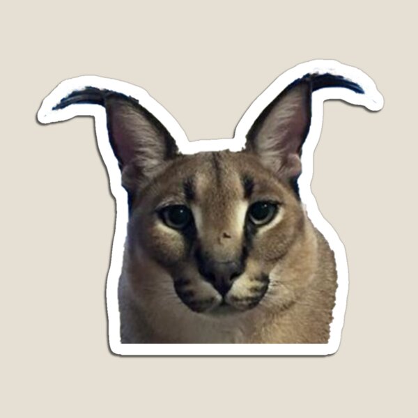 iPhone 13 Big floppa, Caracal Meme en el caso