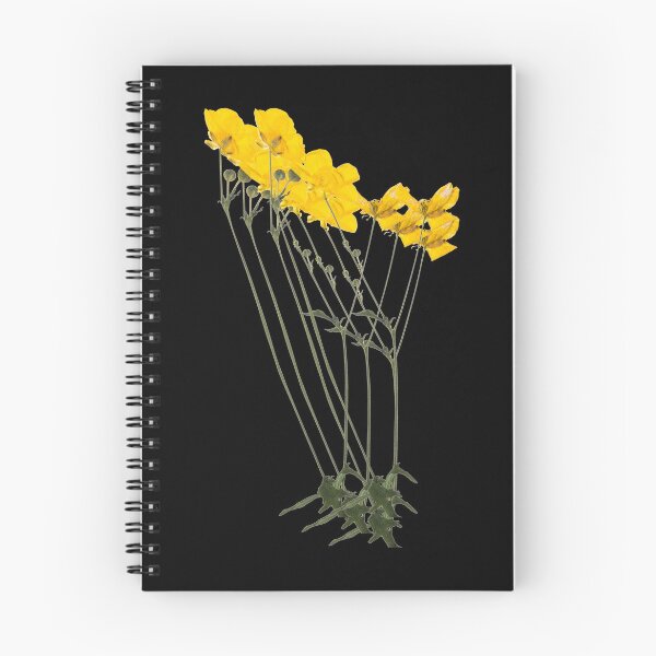 Item preview, Bunch of mums designed and sold by DasaMerch.