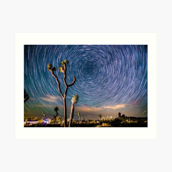 Polaris Star Trails Spin Around Yucca in Joshua Tree Art Print