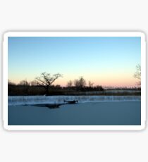 Buckhorn Pond Sticker