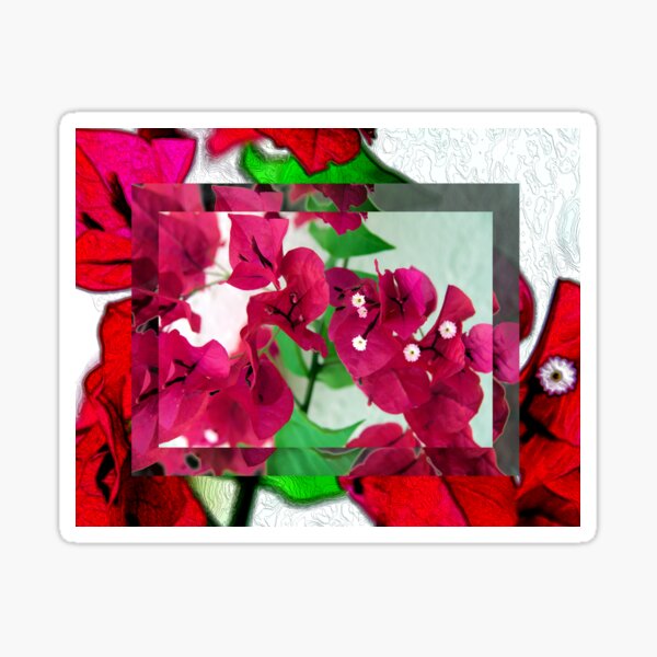 Bougainvillea Art Sticker
