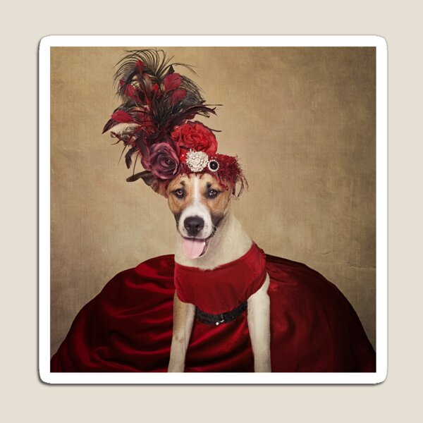 Shelter Pets Project - Baby Girl Magnet