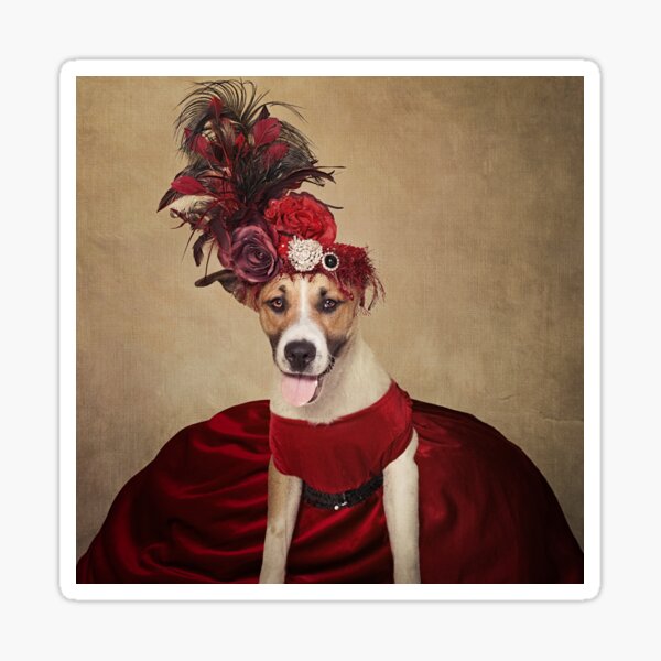 Shelter Pets Project - Baby Girl Sticker
