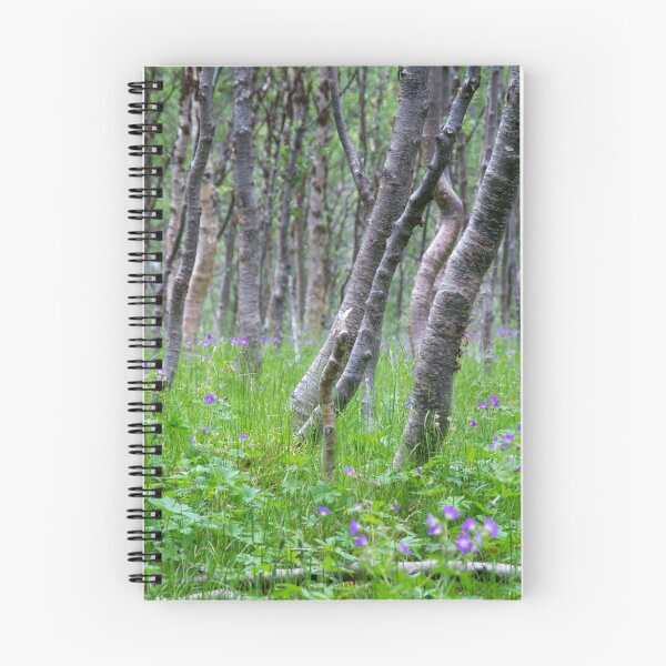 Item preview, Birchwood summer designed and sold by Algot Kristoffer Peterson.