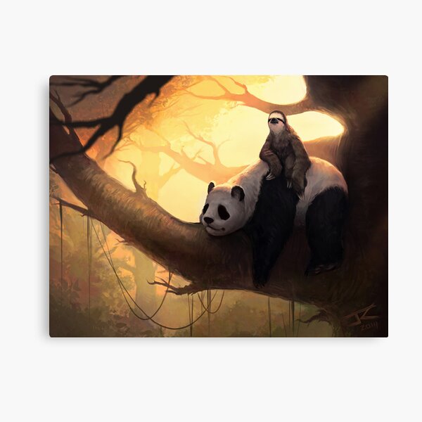 Allo Canvas Print